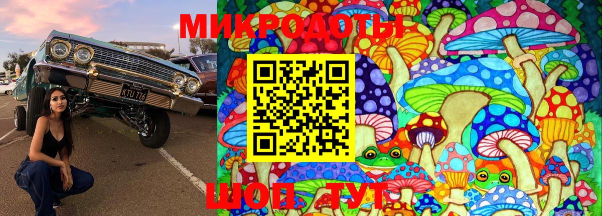 Галлюциногенные грибы Psilocybe Верхняя Салда