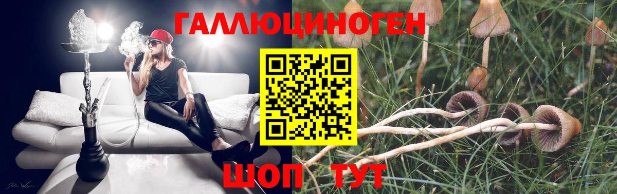 Верхняя Салда  Галлюциногенные грибы GOLDEN TEACHER  Вход с VPN  Псилоцибиновые грибы Cubensis 